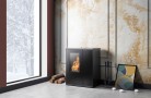 THERMO ESTUFA PELLETS e LENHA TP30